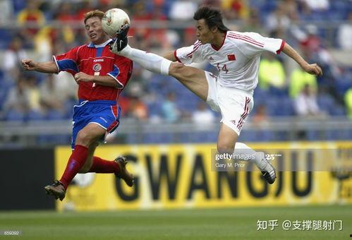 李玮峰打日韩球员视频